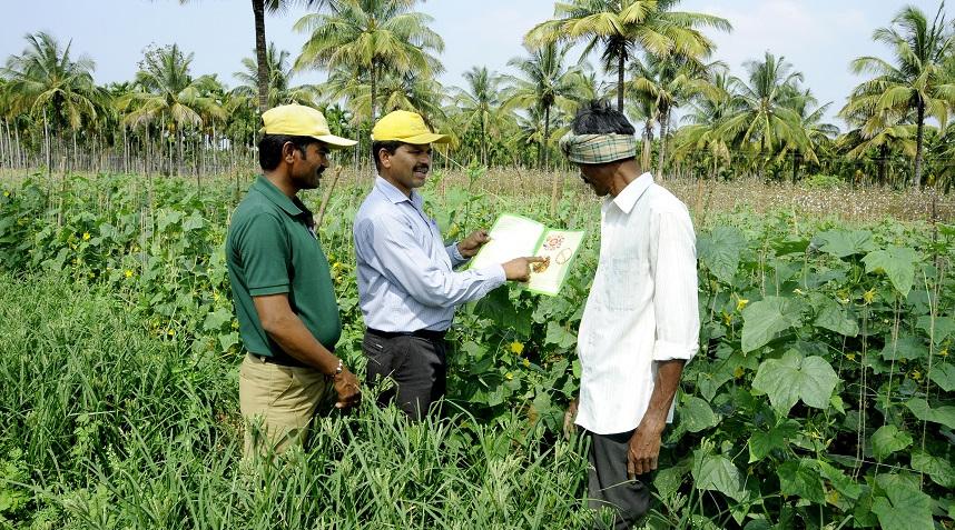 Crop Advisory