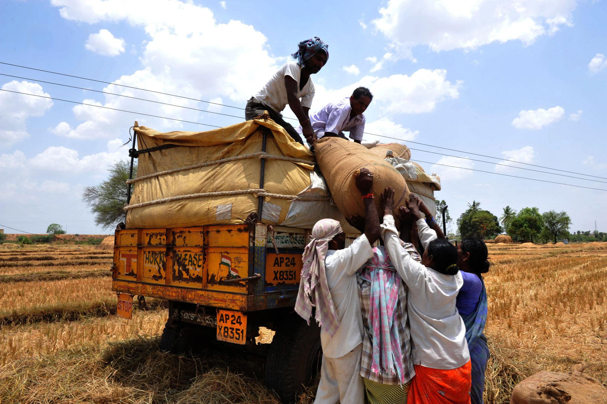 Direct Crop Purchase