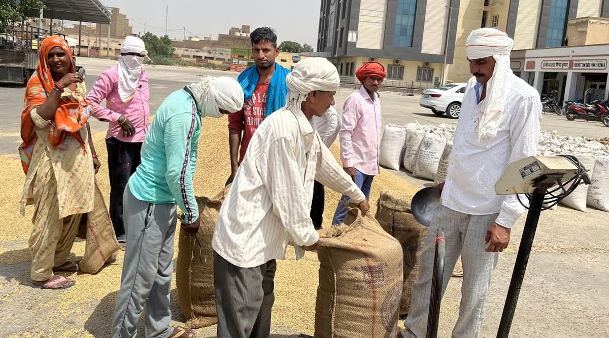 Crop Selling Support