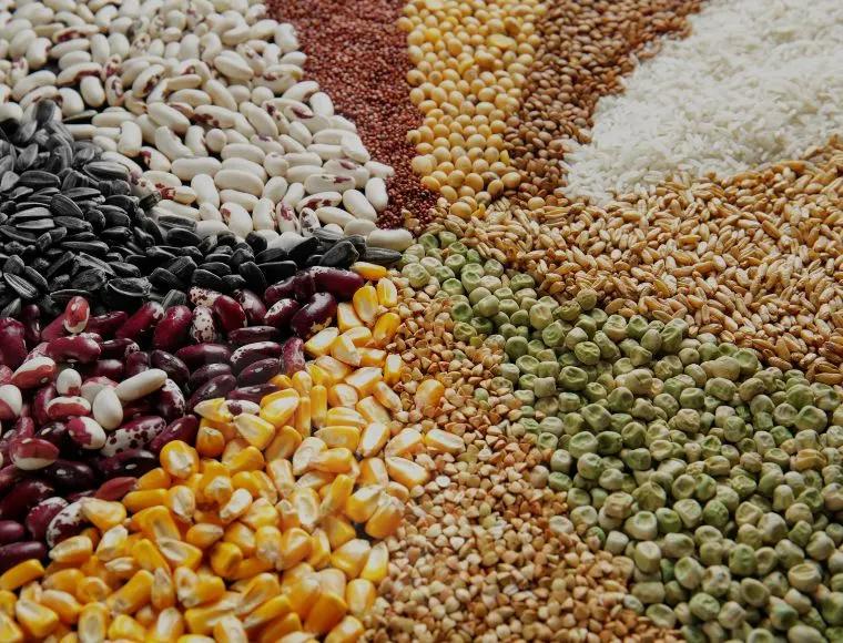 Quality Seeds