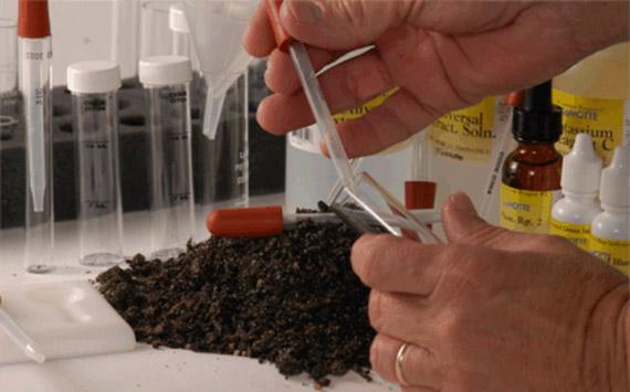 Soil Test