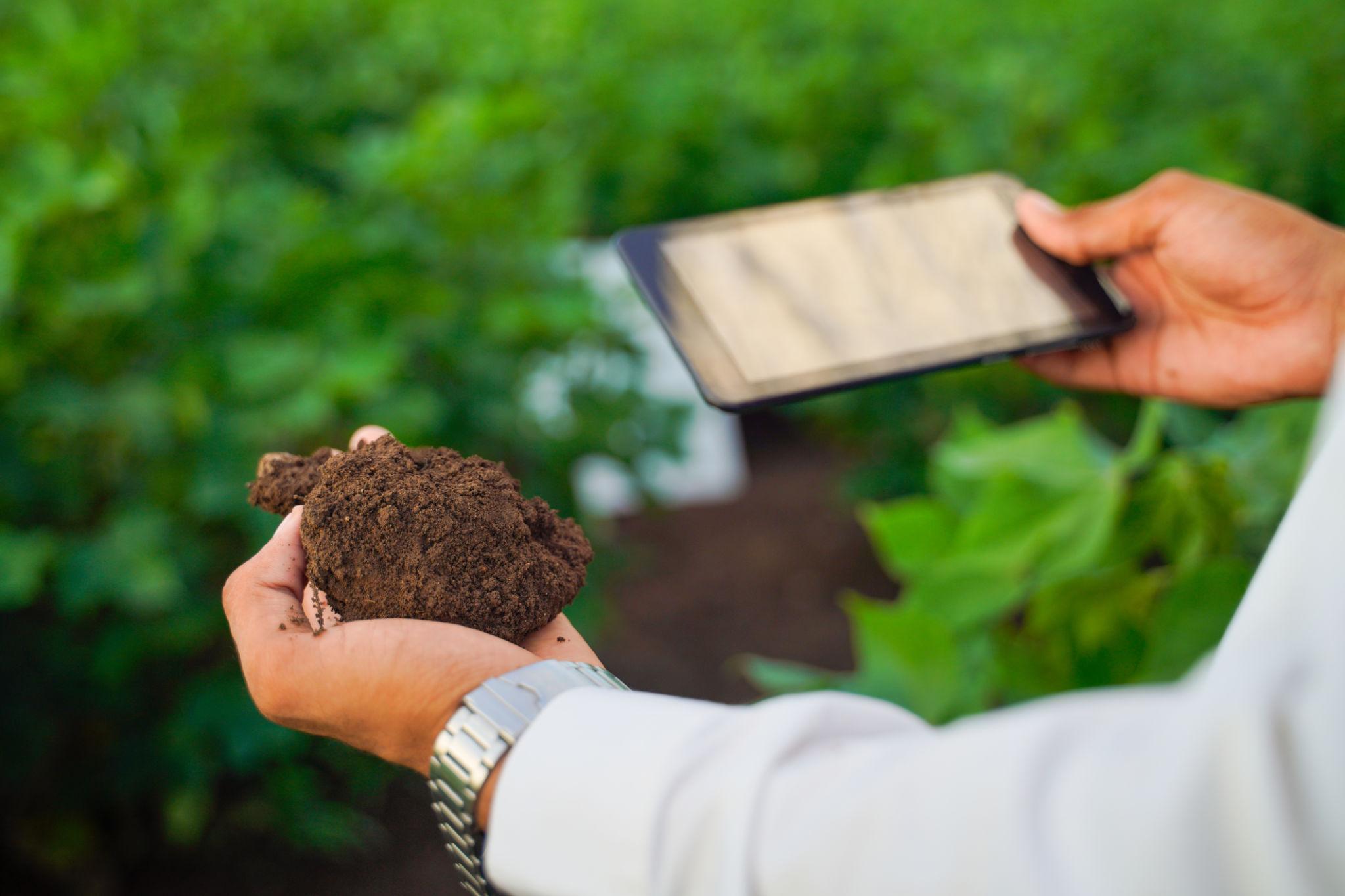 Soil Testing